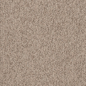 Nylon 100% Boucle - SM2